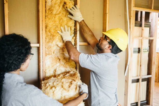 Best Best Insulation Companies  in Wilson Conococheague, MD